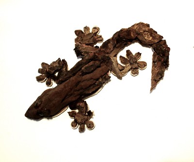 wooden lizard