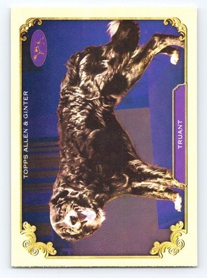 2024 Topps Allen & Ginter - The Westminster Kennel Club #SOS-4 Truant