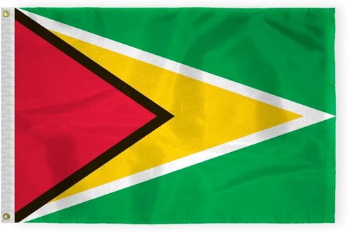 Bandiera AGAS Guyana - Multi Variazione - Bandiere Internazionali - Foto 5 di 13