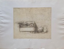 Alessandro Nocentini incisione acquaforte "fiori" 70x50 firmata 55/99 1984