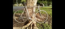 Used Seven Cycles Argen, Titanium 3AL/2.5V Road Bike-2004, 54cm