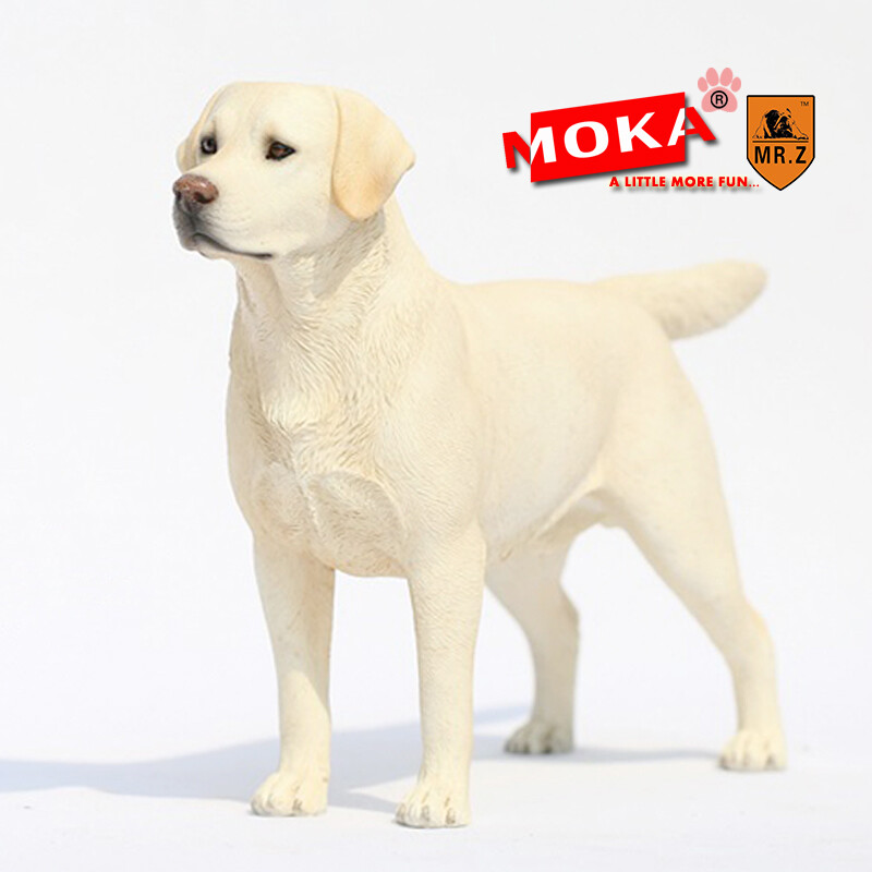 Mr.Z 1/6 Labrador Retriever Loyal Dog Pet Figure Animal Decor