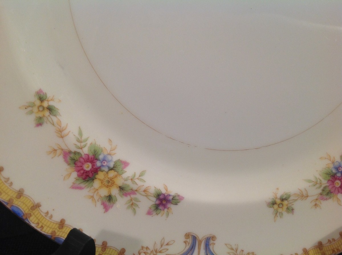 Mayflower (Japan) One (1) Dinner Plate M5J1 Vintage China Much