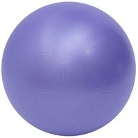 26 Anti-burst Swiss Pro Ball Purple on sale 26 Anti-burst Swiss Pro Ball Purple on sale