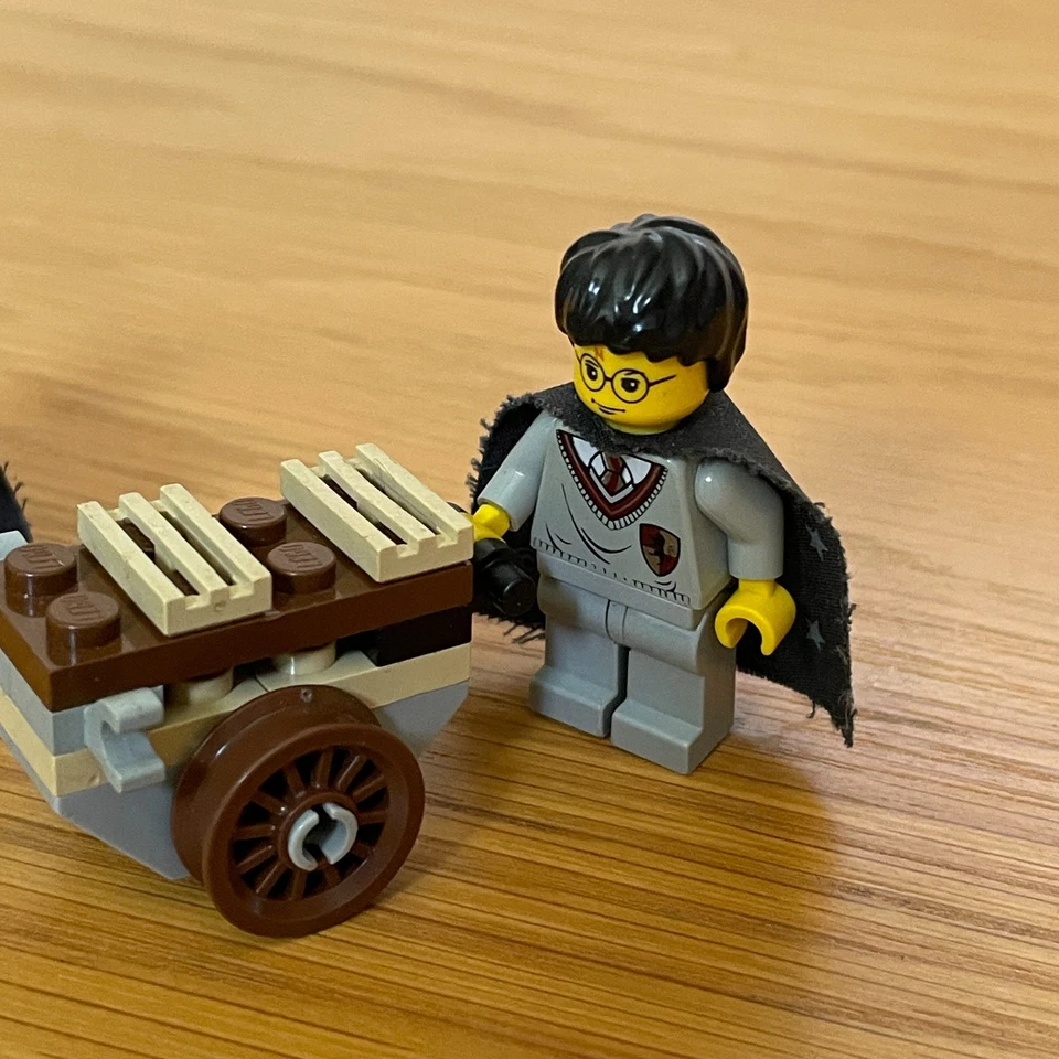 LEGO Harry Potter 4711 Flying Lesson, photo 3 of 4