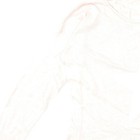 Bild 11 von 12
