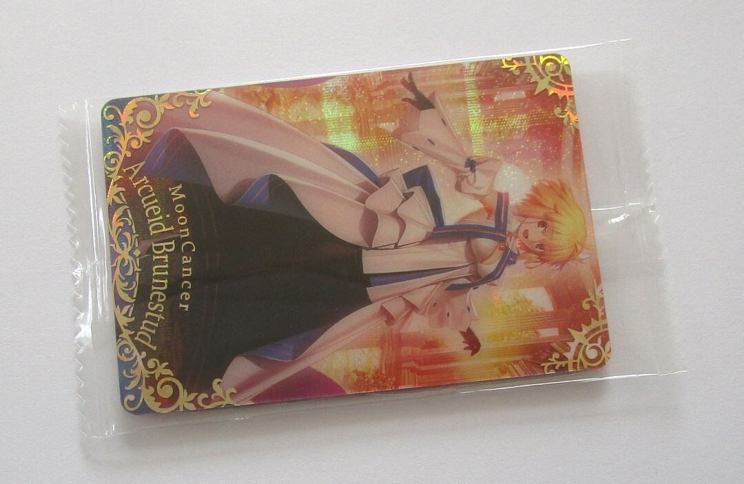 Fate Grand Order Arcueid Brunestud ST19 Card FGO Twin Wafer Bandai