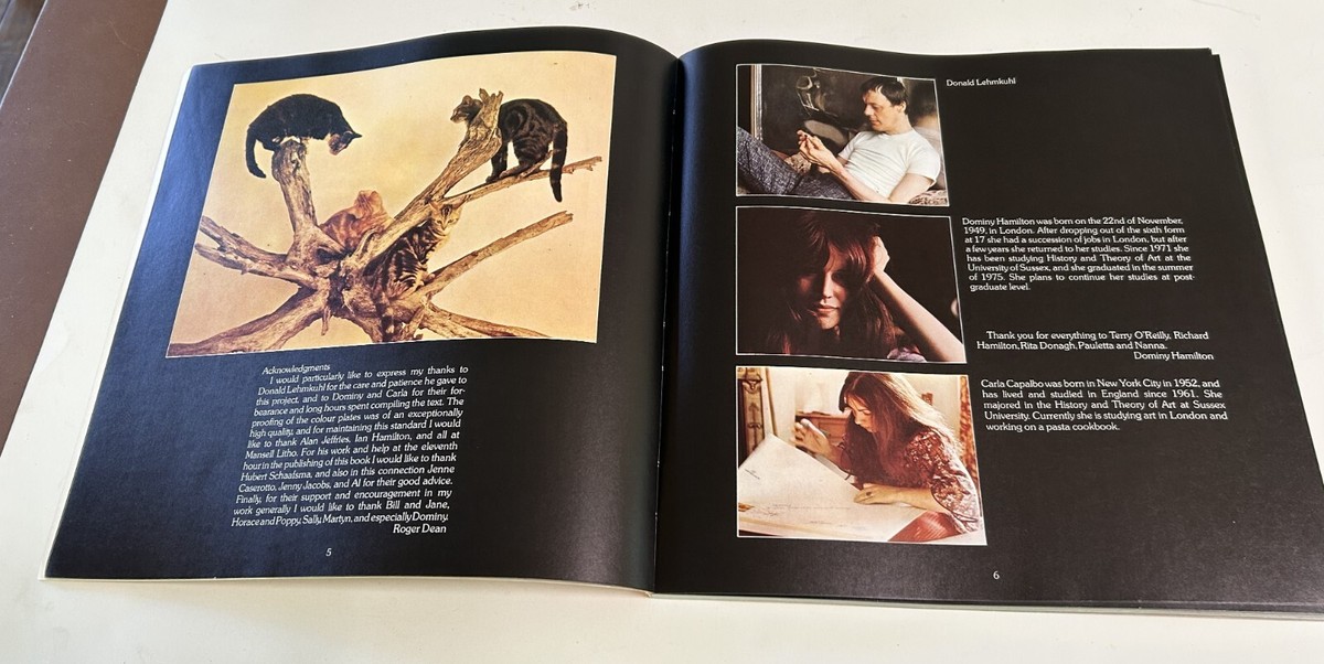 英BOOKS Photo Book, Roger Dean Views ISBN0905895940 PAPER TIGER /00880 VIEWS by Roger Dean - Paper Tiger | 1975 | Fantasy & Science