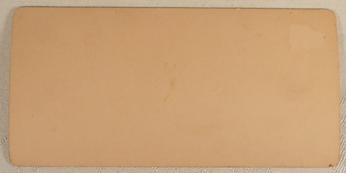 HUNDKAMERA MÄDCHEN JETZT ANGENEHM AUSSEHEN BITTE STEREOVIEW 1897 - Bild 2 von 2