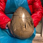 18.5 LB Natural Septarian Turtle Shell Geode Dragon Egg Crystal Healing 3690 — photo 10