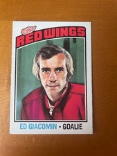 1976-77 O-Pee-Chee hockey set break #160 Ed Giacomin - Detroit Red Wings NRMT