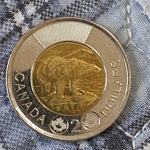 2016 CANADA 2 DOLLARS  Coin - Bear Themed QE2 EF