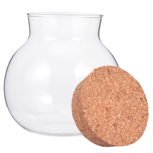 Glass Storage Tank Baby Coffee Bean Container Clear Airtight Food