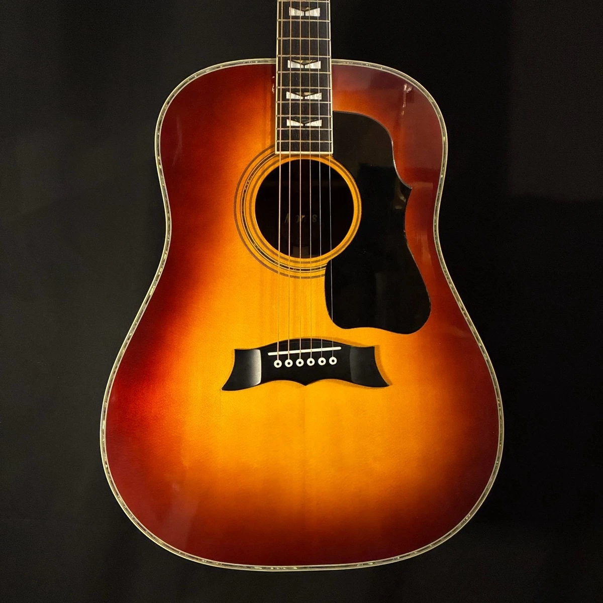 Guitarra acústica Morris MG-600 Japón abeto sólido palo de rosa Sunburst con ...