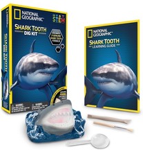 National Geographic Shark Tooth Dig Kit Excavate 3 Real Shark Fossils STEM New