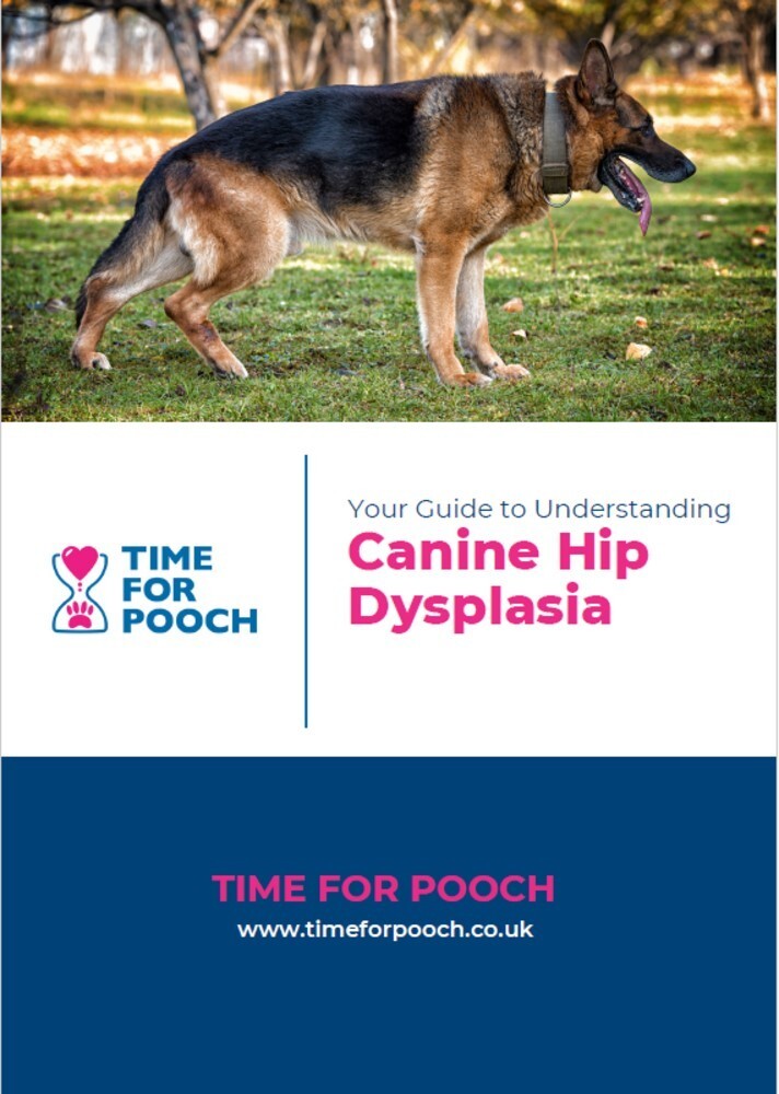 Shepherd Dogs German Shepherd Hip Pain Medicine Hip Joint German