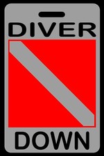 Lo-Viz Gray Personalized "Diver Down" SCUBA Diving Luggage/Gear Bag Tag