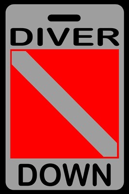 Lo-Viz Gray Personalized ''Diver Down'' SCUBA Diving Luggage/Gear Bag Tag