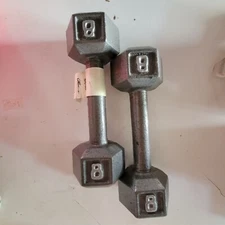 8Lbs Cast Iron Hex Dumbbells Two Pieces Workout Strength Training Equipment