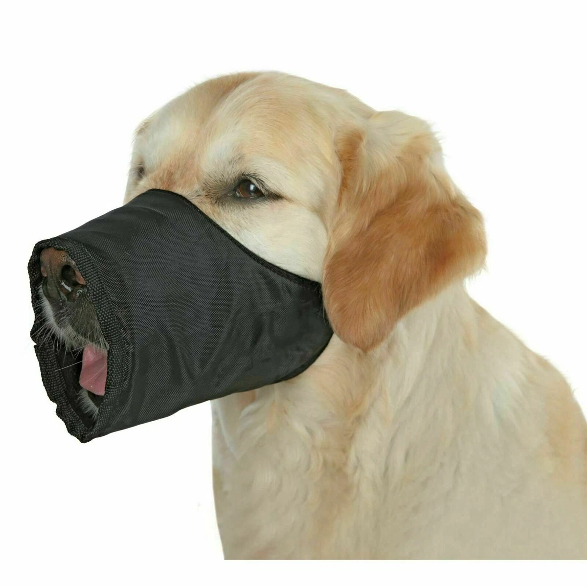 Trixie Dog Muzzle XS Adjustable Extra Small Breeds Chihuahua Polyester Black