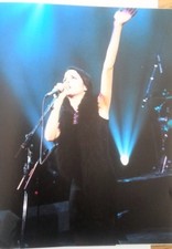 The CORRS 'father boa' magazine PHOTO/Poster/clipping 11x8 inches