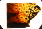 Ocean Jasper  Translucent Slab - 190 Grams - Lapidary - Crafts - Collector — photo 1