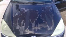 Capote Ford FOCUS