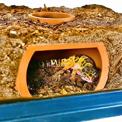 Reptile Underground Cave Viewing Hide | Hognose Snake Leopard Gecko Hide Habi...