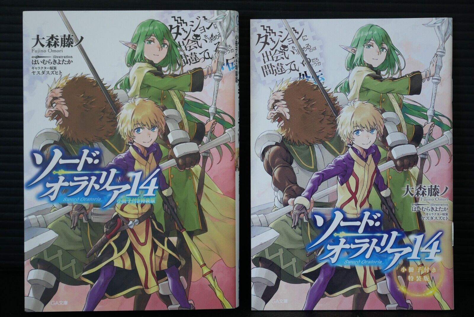 DanMachi / Sword Oratoria vol.7 Limited Edition Novel - JAPAN