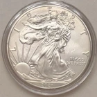 2021 American Silver Eagle 1 Troy Oz. .999 Silver In Capsule. Obverse Toned