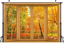 7X5 Ft Fall Backdrop Large Autumn Window View Background Fall Forest Photography