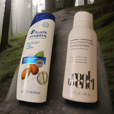 Head & Shoulders Dry Scalp Care Shampoo 12.5oz & Root to End Conditioner 13oz,  