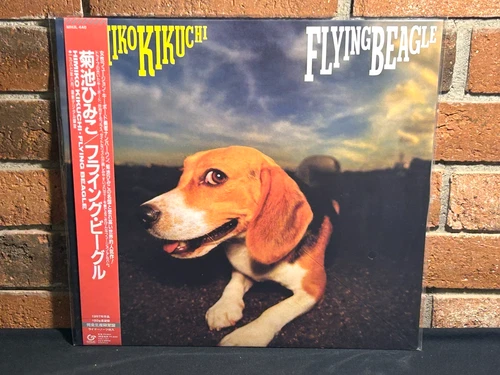 HIMIKO KIKOCHI - Flying Beagle, Limited Import 180G BLACK VINYL OBI Strip New!
