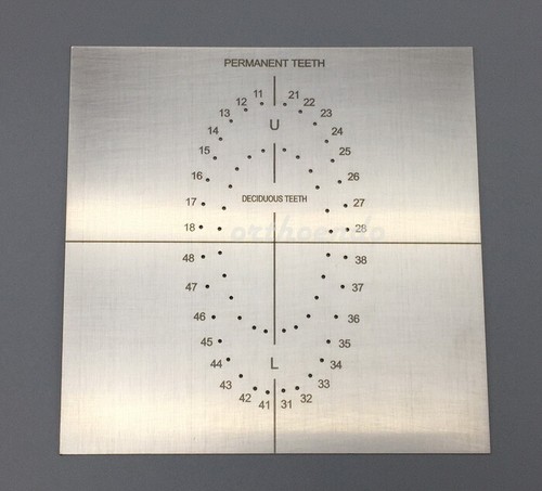 Dental Endodontic Rubber Dam Barrier Positioning Punches Template Punch Hole Too - Picture 8 of 15