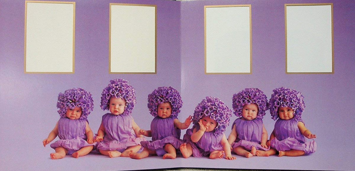 Anne Geddes Photograph Album - Baby Book - Hardcover | eBay