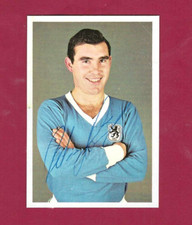 Peter Hornung +2011 - Germania calcio - Monaco 1860 - figurina