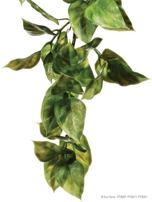 Exo Terra Reptile Plastic Terrarium Plant Amapallo Small