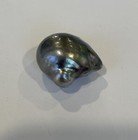 Bild 11 von 12