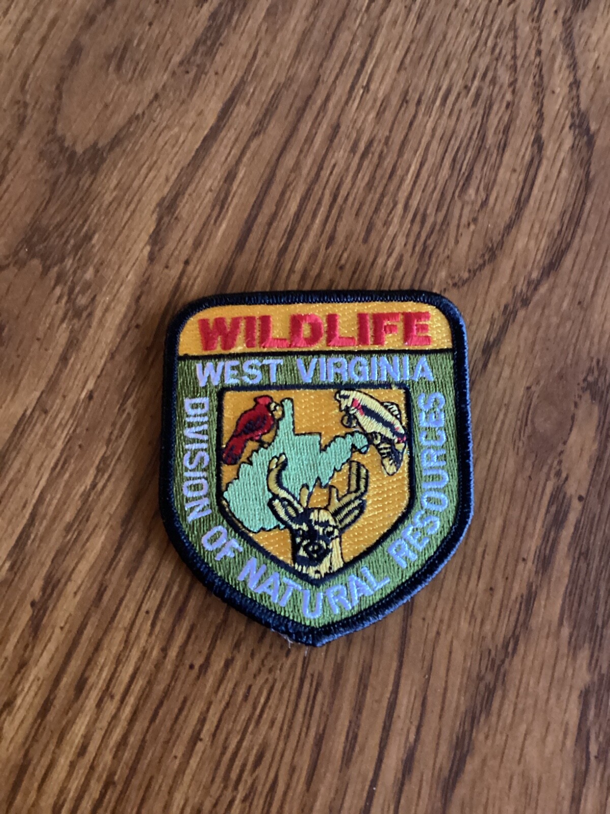 Rare West Virginia Wildlife Div. of Natural Resources patch DNR Game Warden