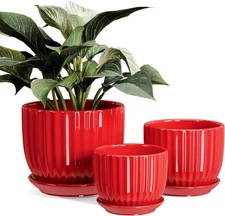Ton Sin Ceramic Plant Pots - 4/5/6 Inch Red 4 inches, 5 6 