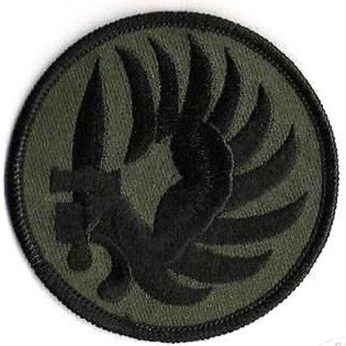 FRENCH FOREIGN LEGION PARA TROOPER SUBDUED legion velkrō burdock INSIGNIA PATCH - Picture 1 of 1