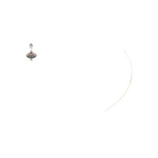 1x Glühlampe, Fernscheinwerfer BOSCH 1 987 301 137 passend für ALFA ROMEO BMW