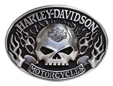 Harley-Davidson Men's Immunity Skull Belt Buckle, Antique Nickel Finish