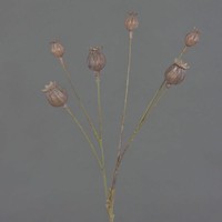 artplants Kunst Mohnkapseln Asuman, Braun, 70Cm