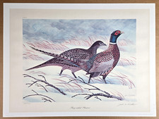 John A. Ruthven Ring-Necked Pheasant signed numbered print, as is 24" x 18"