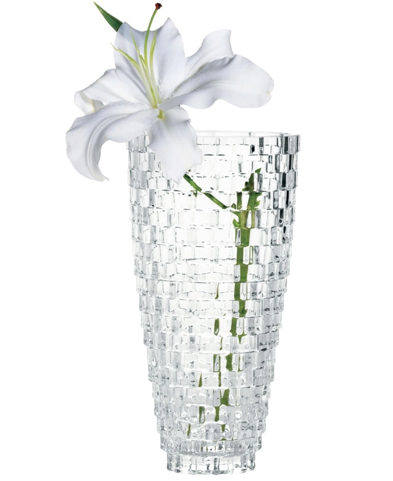Glass Flower Vase Abstract Vases