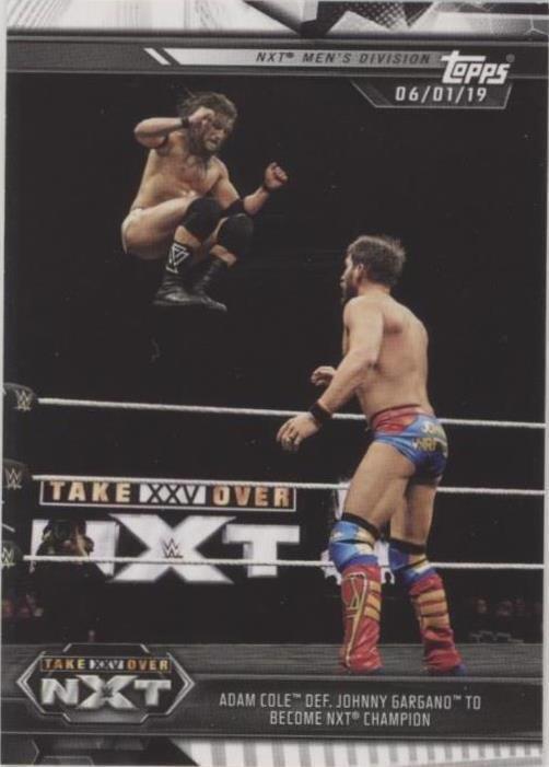 2019 Topps WWE NXT - Adam Cole Johnny Gargano #100 - 1 of 1