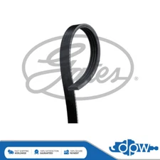Gates V-Ribbed Belts Fits A4 Punto Spark Aveo IQ Range Rover 038260849A 03826084