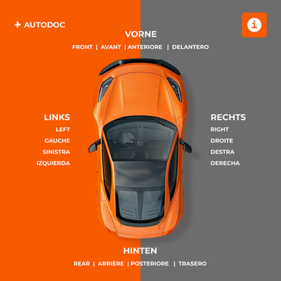 Kamoka Gasfeder Motorhaube 7091146 - Für VW Transporter T5 2003-2015