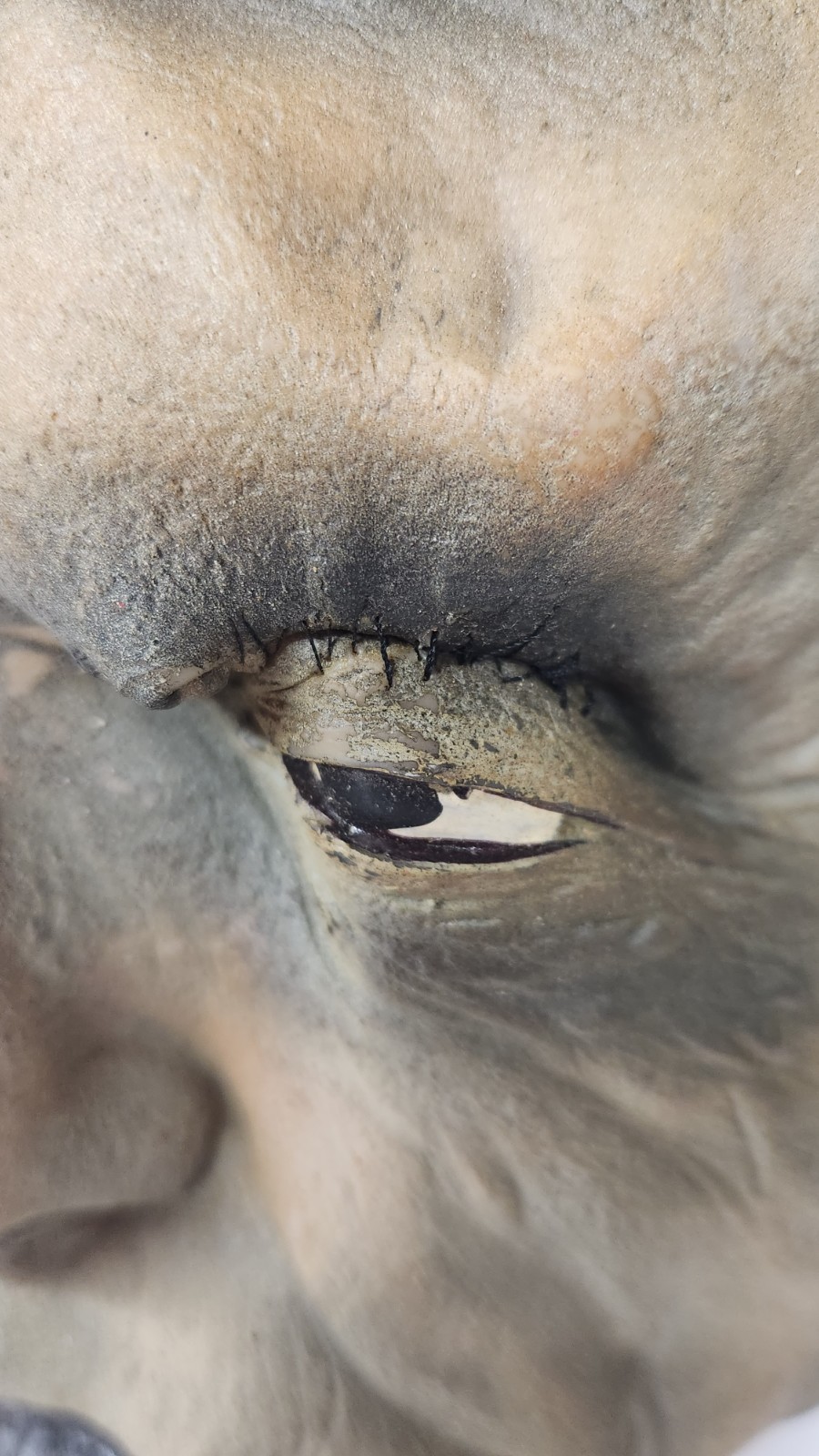 Vintage 1997 The Paper Magic Group Frankenstein Monster Full Head Mask Halloween